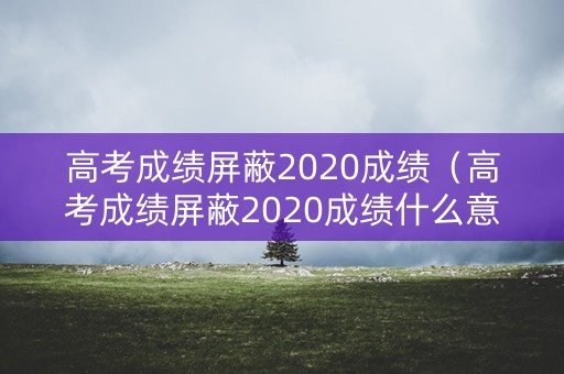 高考成绩屏蔽2020成绩（高考成绩屏蔽2020成绩什么意思）