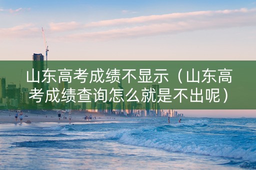 山东高考成绩不显示（山东高考成绩查询怎么就是不出呢）