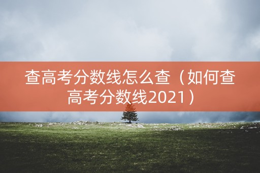 查高考分数线怎么查（如何查高考分数线2021）