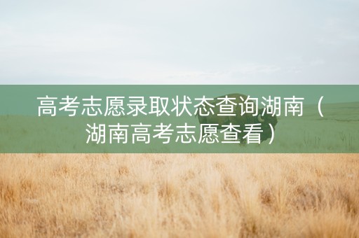 高考志愿录取状态查询湖南（湖南高考志愿查看）