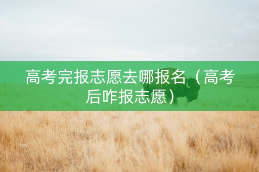 高考完报志愿去哪报名（高考后咋报志愿）