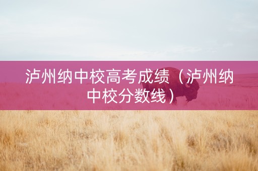 泸州纳中校高考成绩（泸州纳中校分数线）