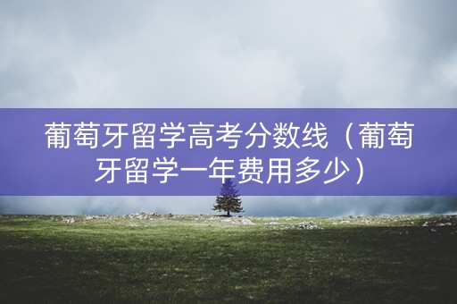 葡萄牙留学高考分数线（葡萄牙留学一年费用多少）