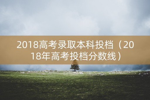 2018高考录取本科投档（2018年高考投档分数线）
