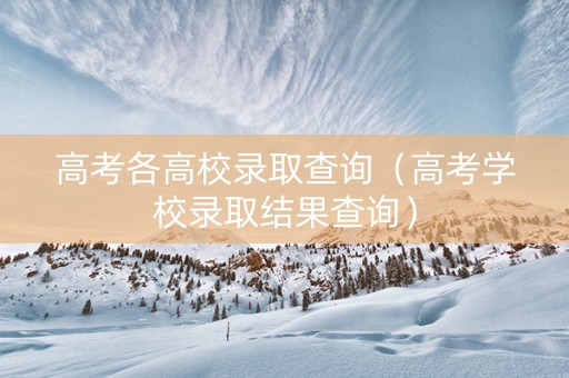 高考各高校录取查询（高考学校录取结果查询）
