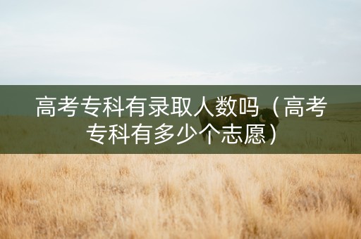 高考专科有录取人数吗（高考专科有多少个志愿）