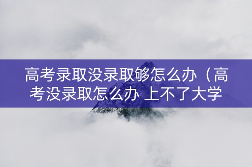 高考录取没录取够怎么办（高考没录取怎么办 上不了大学怎么办）