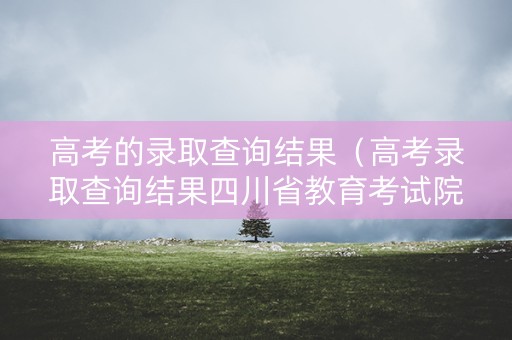 高考的录取查询结果（高考录取查询结果四川省教育考试院）