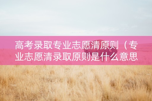 高考录取专业志愿清原则（专业志愿清录取原则是什么意思）