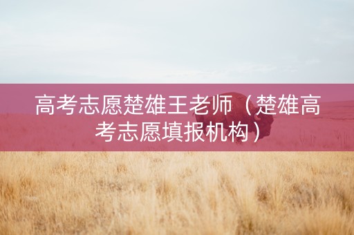 高考志愿楚雄王老师（楚雄高考志愿填报机构）