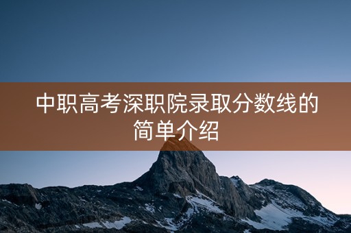 中职高考深职院录取分数线的简单介绍