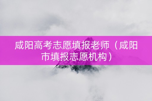 咸阳高考志愿填报老师（咸阳市填报志愿机构）