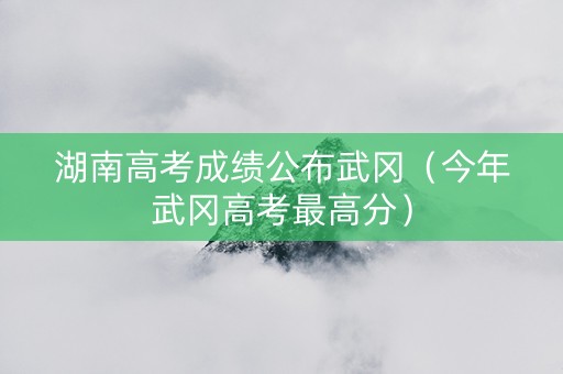 湖南高考成绩公布武冈（今年武冈高考最高分）
