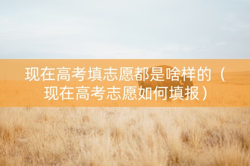现在高考填志愿都是啥样的（现在高考志愿如何填报）