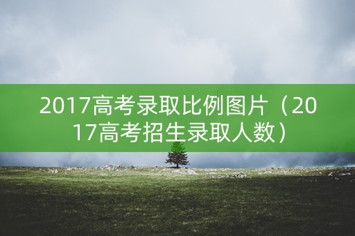 2017高考录取比例图片（2017高考招生录取人数）