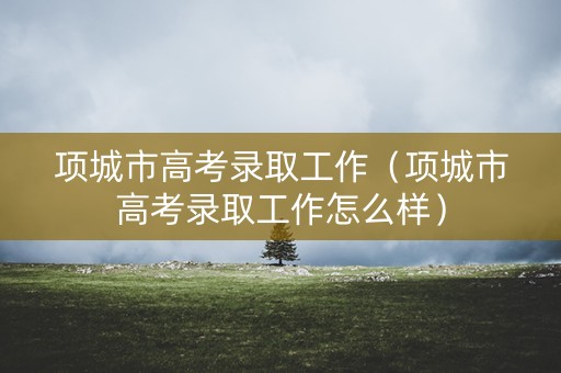 项城市高考录取工作（项城市高考录取工作怎么样）
