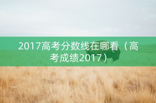 2017高考分数线在哪看（高考成绩2017）