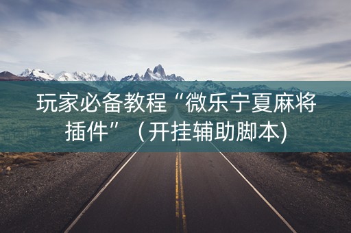 玩家必备教程“微乐宁夏麻将插件”（开挂辅助脚本)
