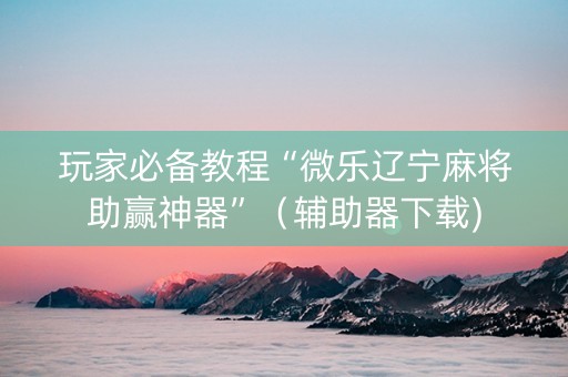 玩家必备教程“微乐辽宁麻将助赢神器”（辅助器下载)