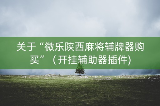 关于“微乐陕西麻将辅牌器购买”（开挂辅助器插件)