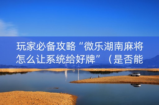 玩家必备攻略“微乐湖南麻将怎么让系统给好牌”（是否能开挂)