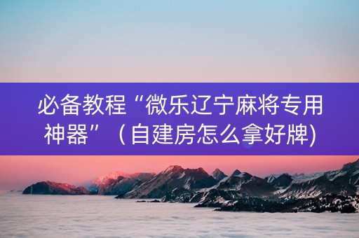 必备教程“微乐辽宁麻将专用神器”（自建房怎么拿好牌)