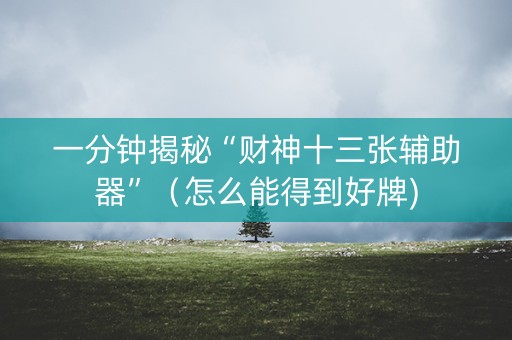 一分钟揭秘“财神十三张辅助器”（怎么能得到好牌)