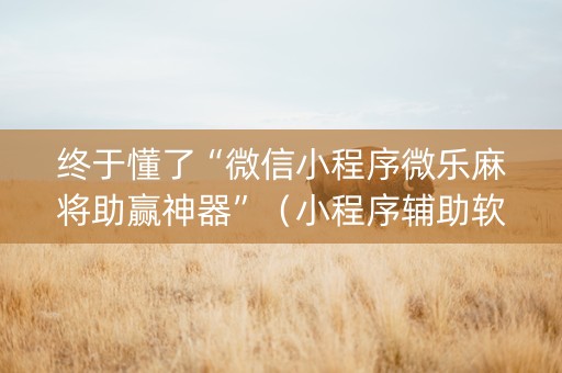 终于懂了“微信小程序微乐麻将助赢神器”（小程序辅助软件)