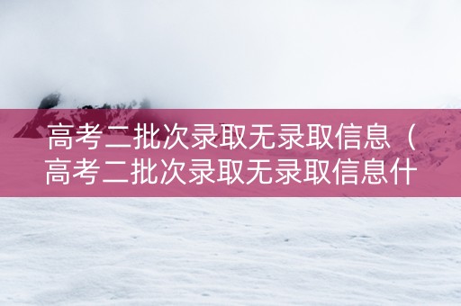 高考二批次录取无录取信息（高考二批次录取无录取信息什么意思）