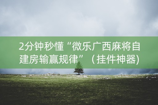 2分钟秒懂“微乐广西麻将自建房输赢规律”（挂件神器)