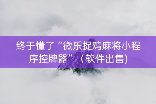 终于懂了“微乐捉鸡麻将小程序控牌器”（软件出售)