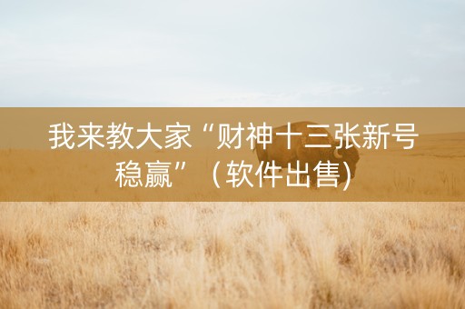 我来教大家“财神十三张新号稳赢”（软件出售)