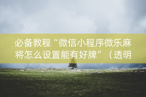 必备教程“微信小程序微乐麻将怎么设置能有好牌”（透明挂辅助器)