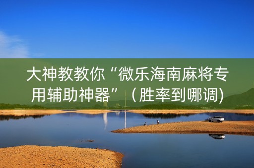 大神教教你“微乐海南麻将专用辅助神器”（胜率到哪调)