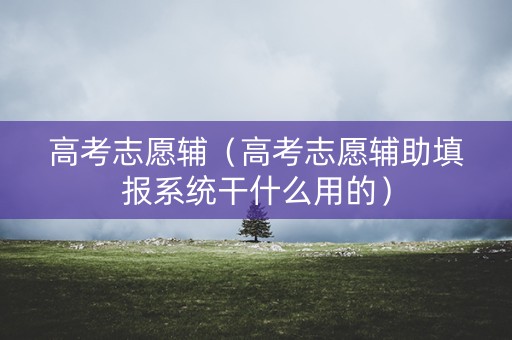 高考志愿辅（高考志愿辅助填报系统干什么用的）