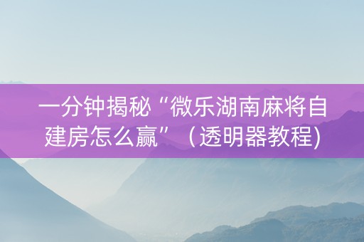 一分钟揭秘“微乐湖南麻将自建房怎么赢”（透明器教程)