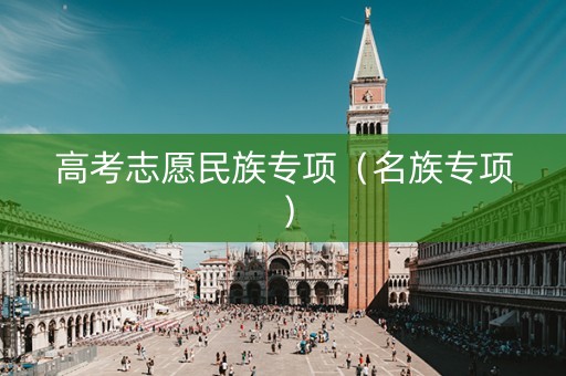 高考志愿民族专项（名族专项）