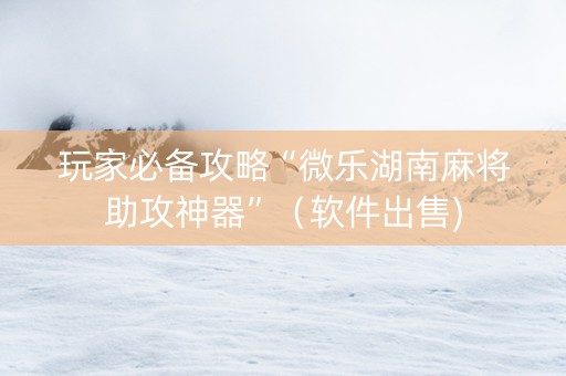 玩家必备攻略“微乐湖南麻将助攻神器”（软件出售)