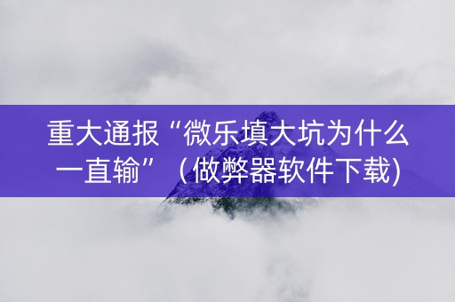 重大通报“微乐填大坑为什么一直输”（做弊器软件下载)