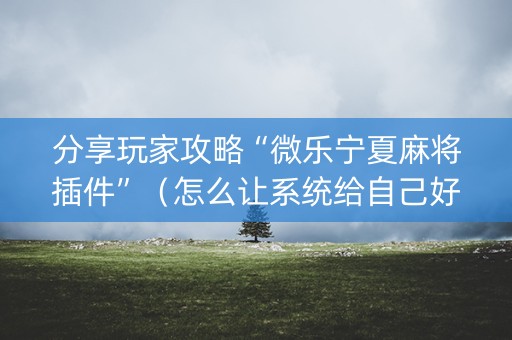 分享玩家攻略“微乐宁夏麻将插件”（怎么让系统给自己好牌)