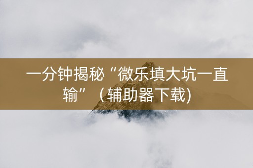 一分钟揭秘“微乐填大坑一直输”（辅助器下载)