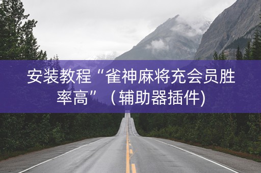 安装教程“雀神麻将充会员胜率高”（辅助器插件)