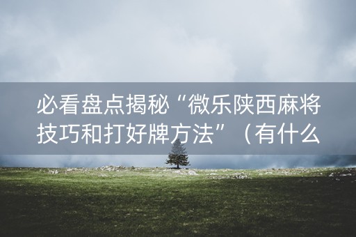 必看盘点揭秘“微乐陕西麻将技巧和打好牌方法”（有什么规律)