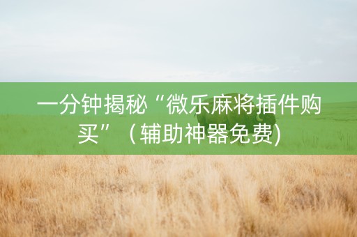 一分钟揭秘“微乐麻将插件购买”（辅助神器免费)