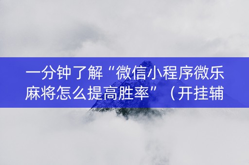 一分钟了解“微信小程序微乐麻将怎么提高胜率”（开挂辅助插件)