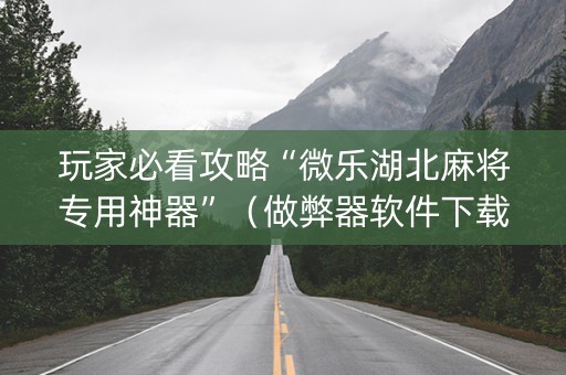 玩家必看攻略“微乐湖北麻将专用神器”（做弊器软件下载)