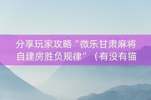 分享玩家攻略“微乐甘肃麻将自建房胜负规律”（有没有猫腻)