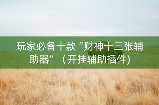 玩家必备十款“财神十三张辅助器”（开挂辅助插件)