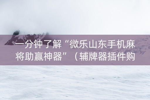 一分钟了解“微乐山东手机麻将助赢神器”（辅牌器插件购买)