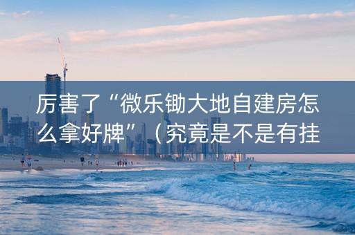 厉害了“微乐锄大地自建房怎么拿好牌”（究竟是不是有挂)